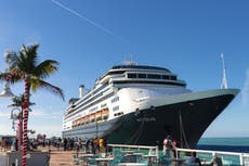 Un brote de norovirus en un crucero deja casi 100 pasajeros enfermos durante el viaje
