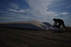 Mercosur y UE se alistan para la firma de histórico pacto comercial tras casi tres décadas de espera