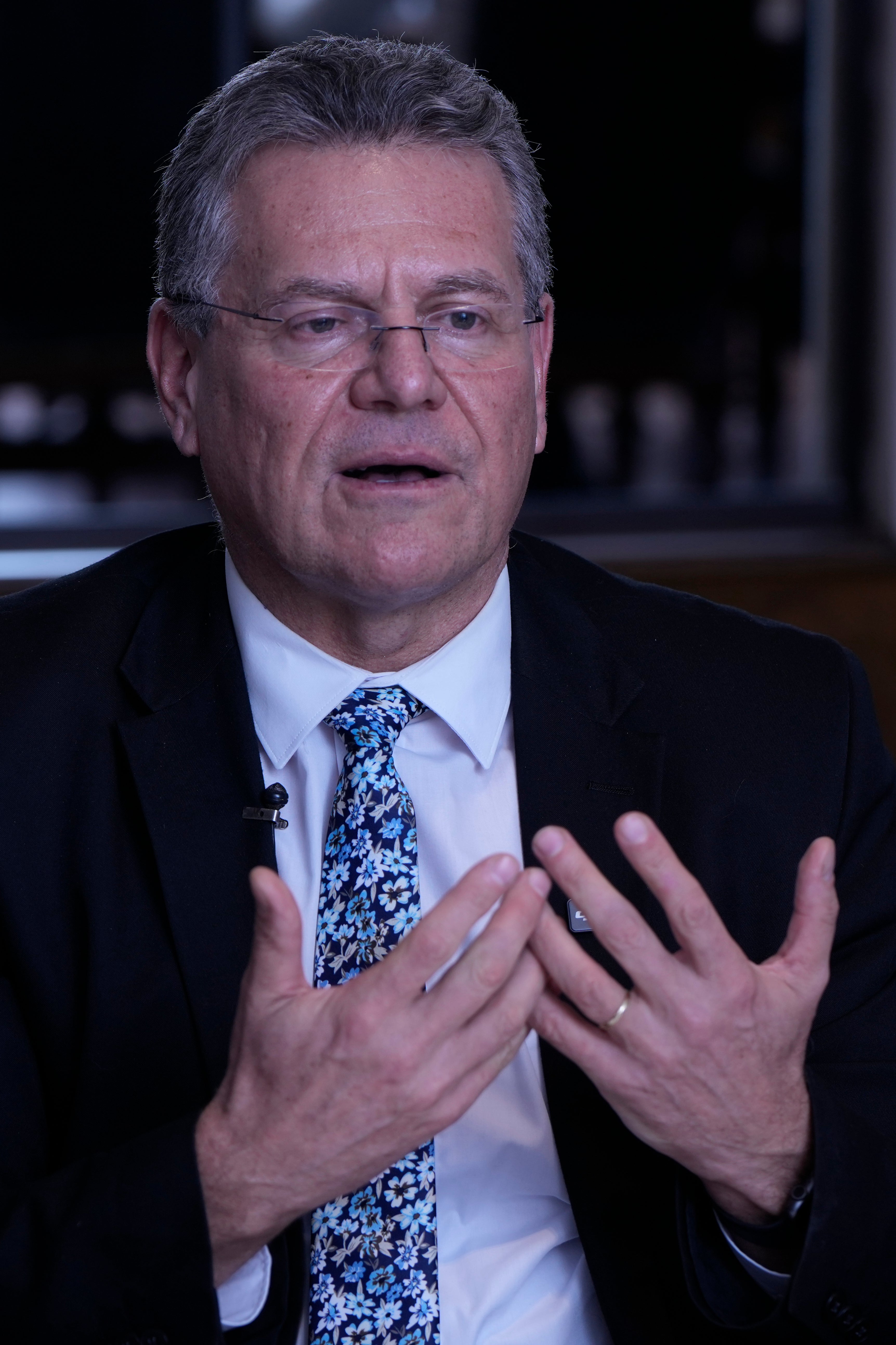 MERCOSUR-UE-PARLAMENTOS