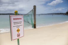Tres ataques de tiburones dejan dos heridos en playas de Australia
