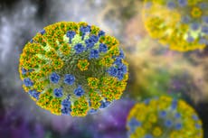Los científicos utilizan IA para crear virus nuevos y dan una advertencia urgente