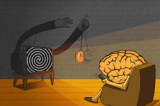 Deterioro televisivo: Por qué los programas de televisión son cada vez más estúpidos