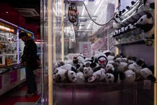 Vuelven a China los últimos dos pandas de Japón en medio de tensiones entre ambos países