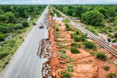 Inundaciones empujan a cocodrilos a pueblos de Mozambique; aumentan preocupaciones sanitarias