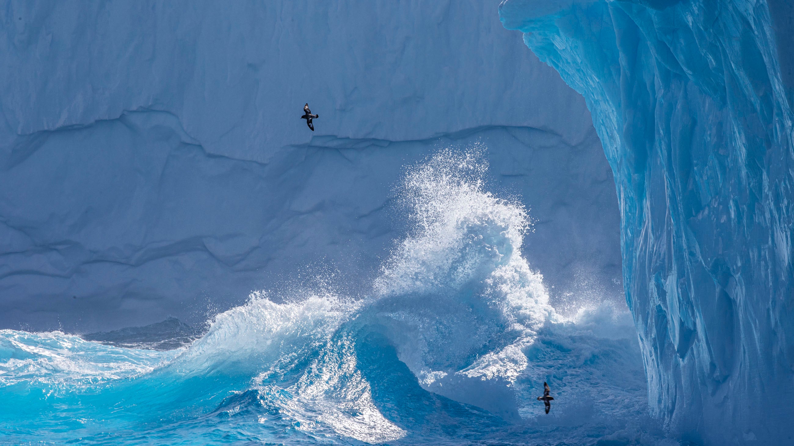 El científico Marco Tedesco advirtió que le preocupa que la Antártida se convierta en otro destino imperdible de lista de deseos para una élite global en expansión, con impactos graduales que terminan “erosionando” el asombro que motiva a la gente a viajar tan lejos para experimentarlo