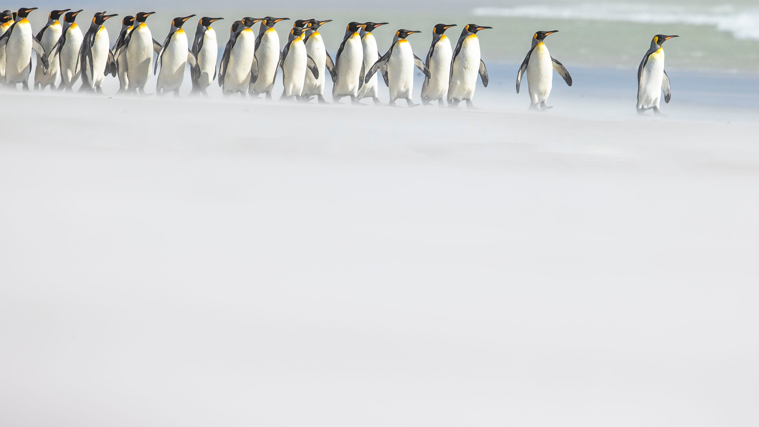 Dos normas clave establecen que solo 100 personas pueden pisar el hielo al mismo tiempo y que los barcos con capacidad para más de 500 pasajeros no pueden realizar desembarcos