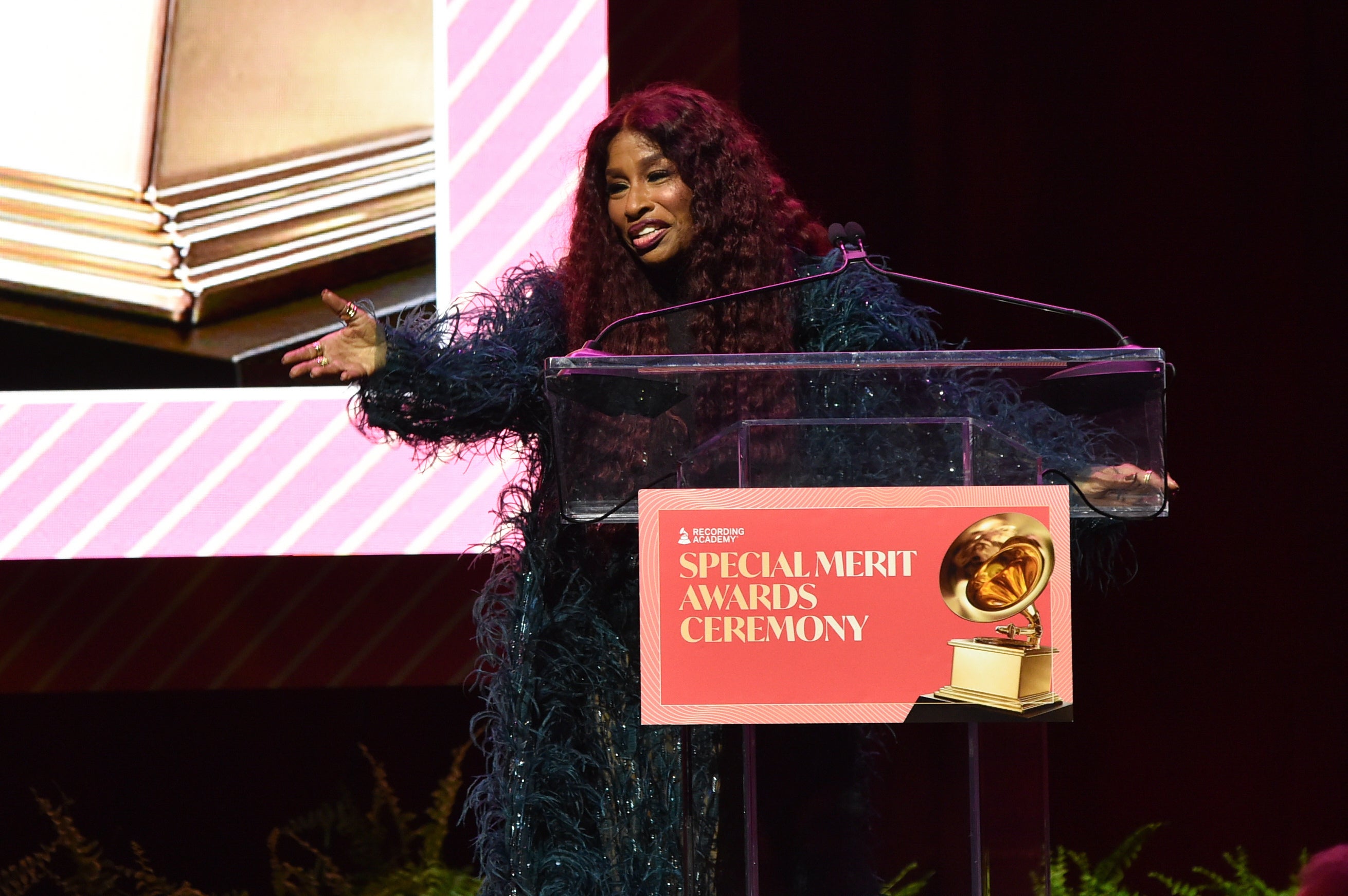 GRAMMY-PREMIOS ESPECIALES