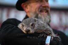 Día de la Marmota: Phil predice 6 semanas más de clima invernal en EEUU