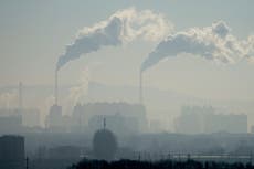 Por qué China construye tantas plantas de carbón pese a su auge solar y eólico