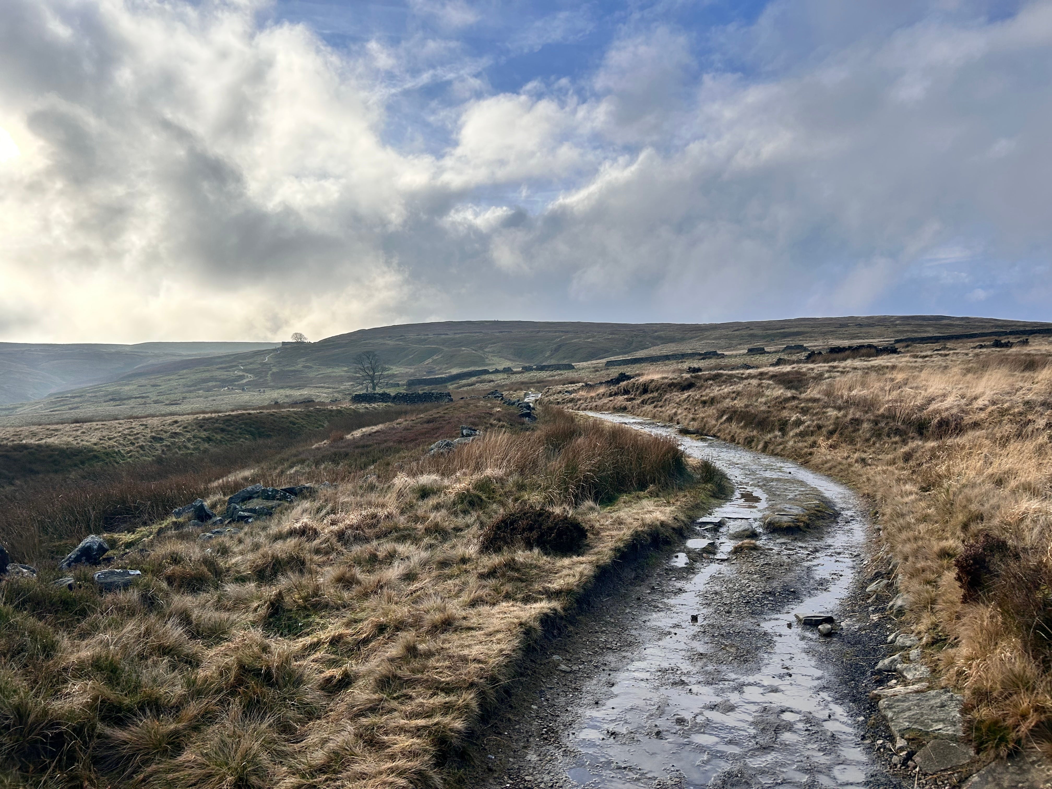 Páramo Haworth, por donde pasearon las hermanas Brontë