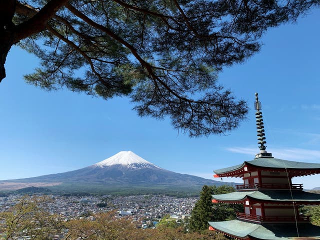 <p>El Monte Fuji visto desde el Santuario Arakura Fuji Sengen, en la ciudad de Fujiyoshida, prefectura de Yamanashi, el 22 de abril de 2021</p>
