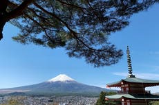 Suspenden festival de cerezos del monte Fuji por temor a mal comportamiento