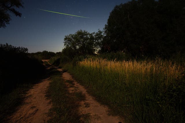 ARGENTINA-LUCIÉRNAGAS