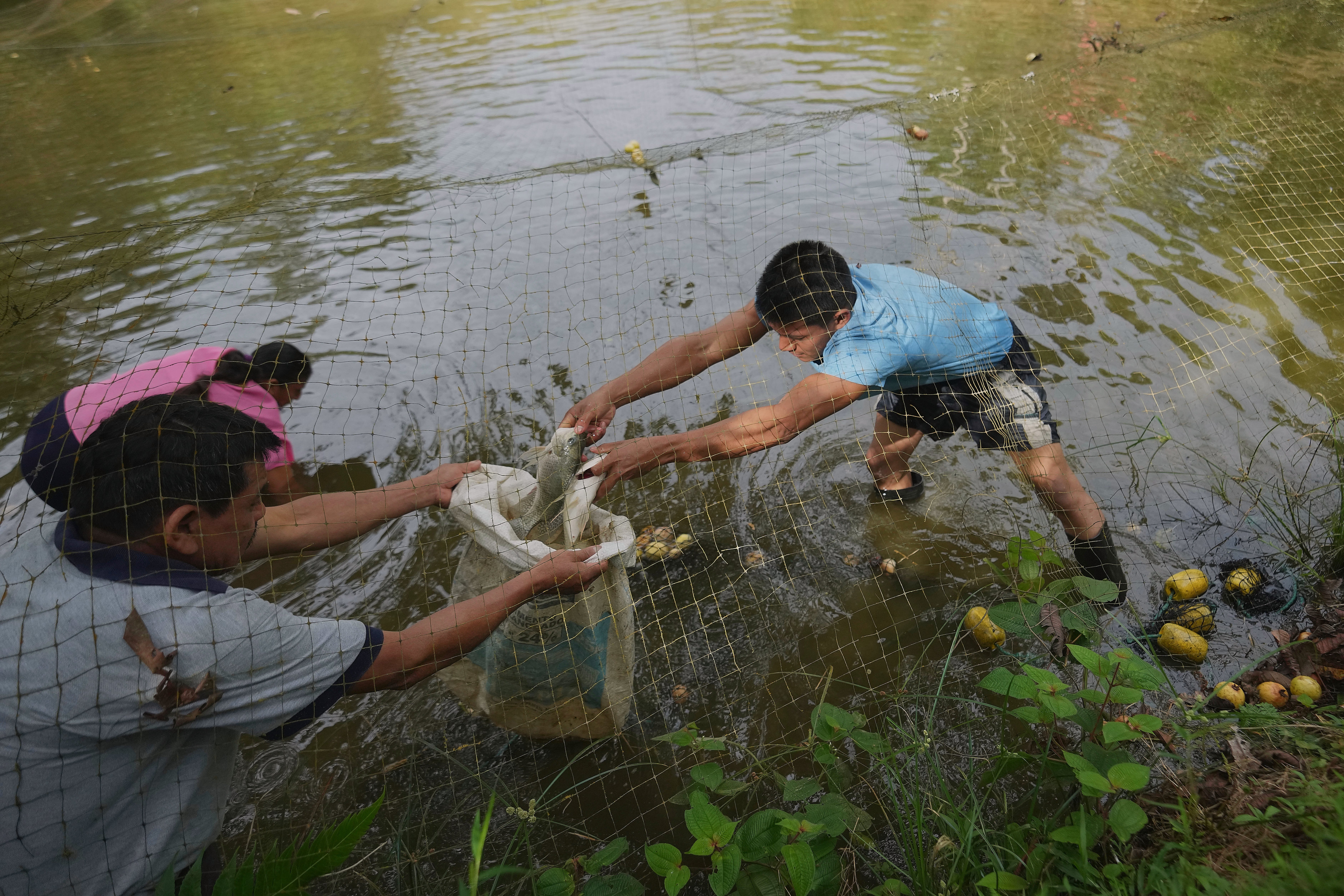 ECUADOR-AMAZONIA-SEMILLAS