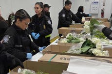 Millones de flores pasan por aeropuerto de Miami para Día de San Valentín
