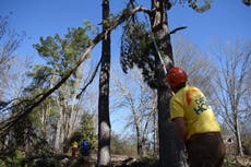 Habitantes de Mississippi llevan casi dos semanas sin electricidad tras tormenta invernal