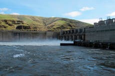 Oregon, Washington y tribus regresan a la corte luego que Trump canceló acuerdo que salvaría salmón