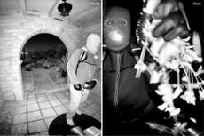 Publican imágenes de sospechoso enmascarado en casa de madre de Savannah Guthrie