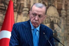 Erdogan reorganiza el gobierno turco: sustituye a los ministros de Justicia e Interior