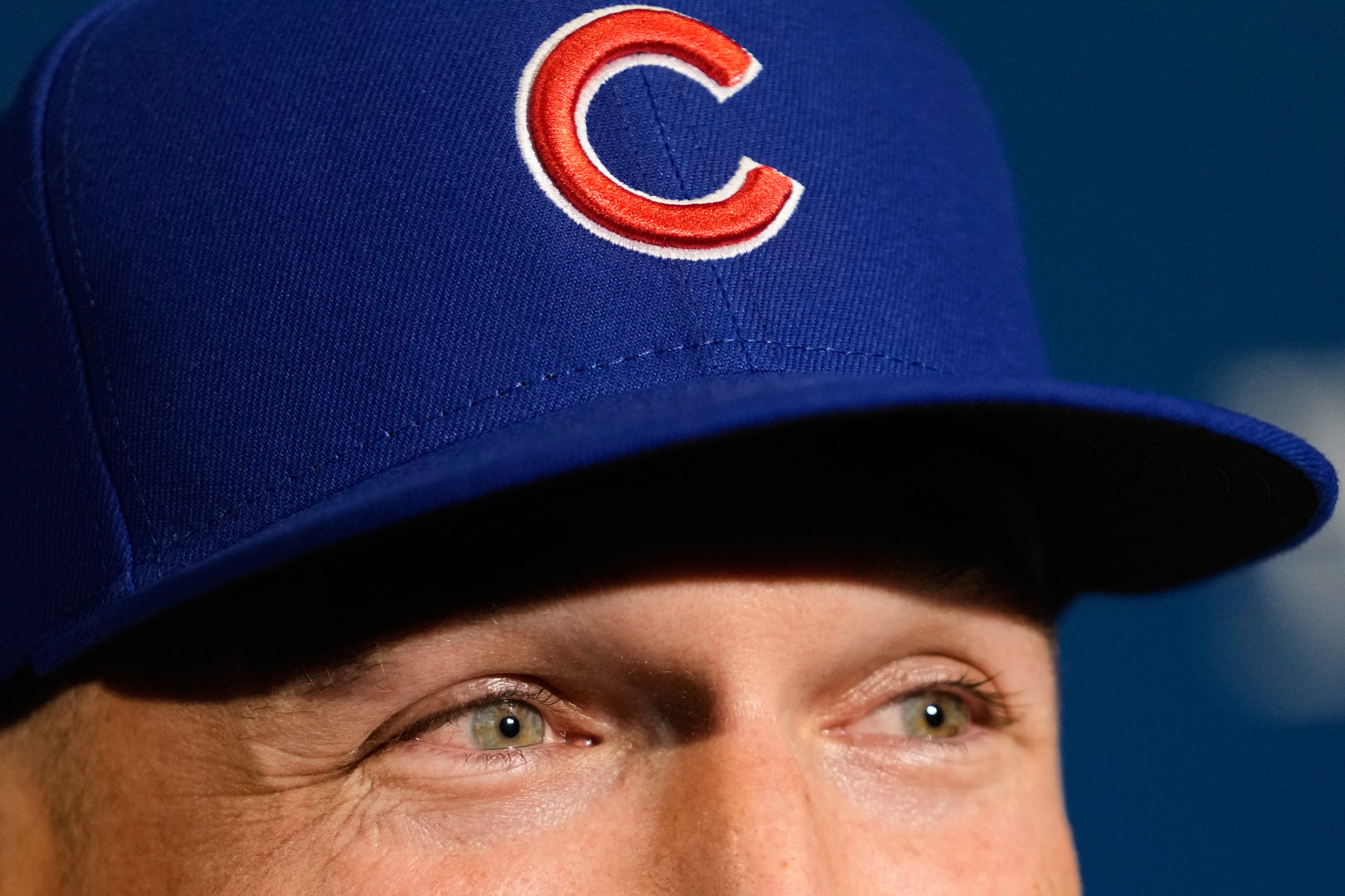 CACHORROS-PRIMER DÍA