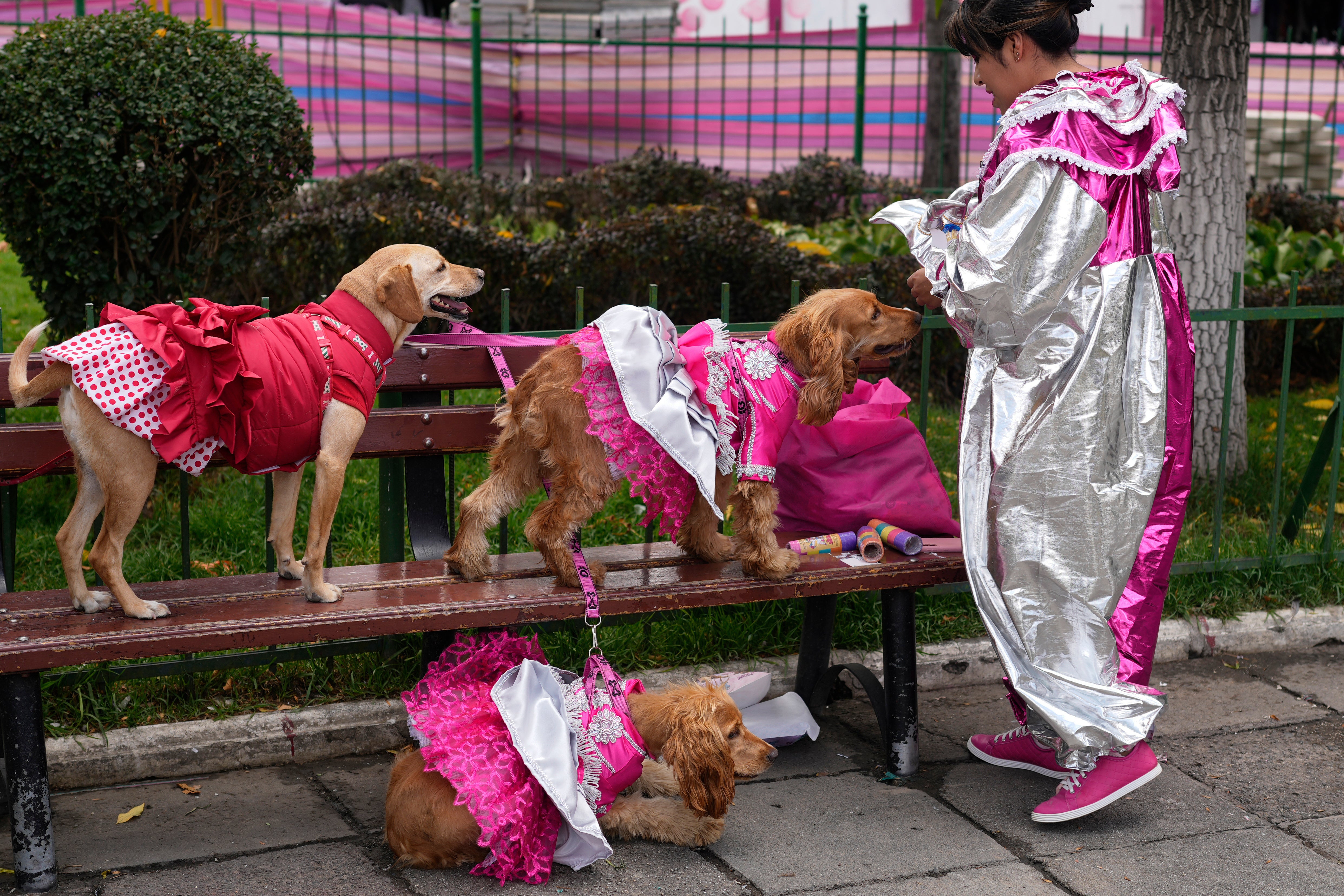 BOLIVIA-CARNAVAL MASCOTAS