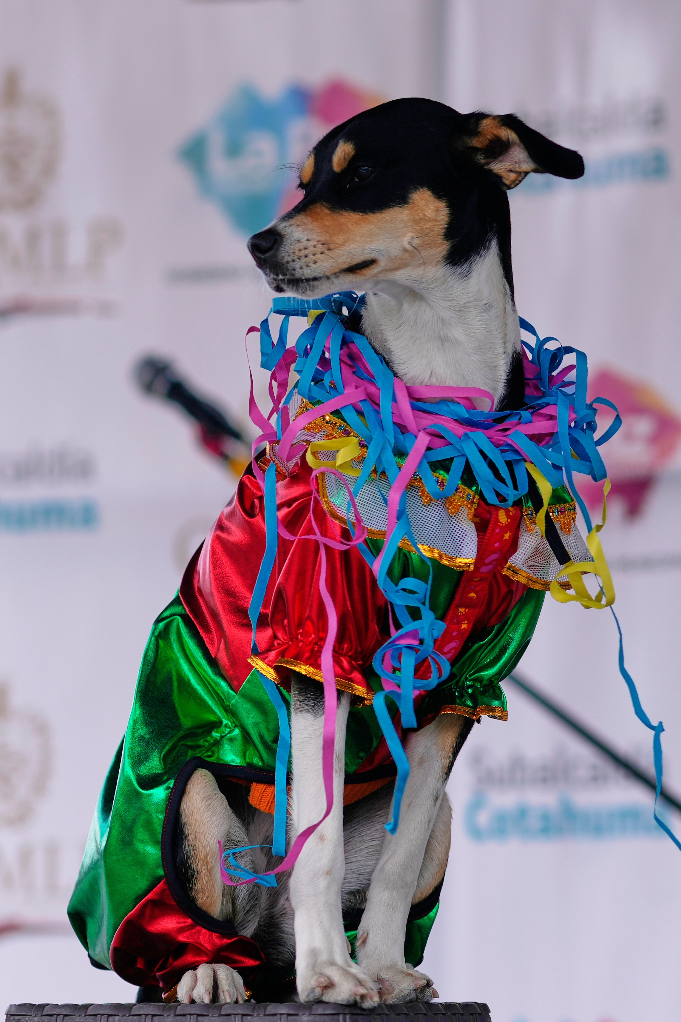 BOLIVIA-CARNAVAL MASCOTAS