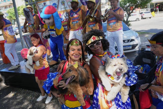 BRASIL-CARNAVAL-PERROS