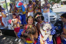 Perros desfilan en el Carnaval de Río y sus dueños protestan contra la crueldad hacia los animales