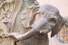 Policía investiga rotura de colmillo de icónica estatua de Roma