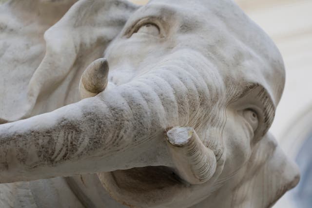 ITALIA ELEFANTE DE BERNINI