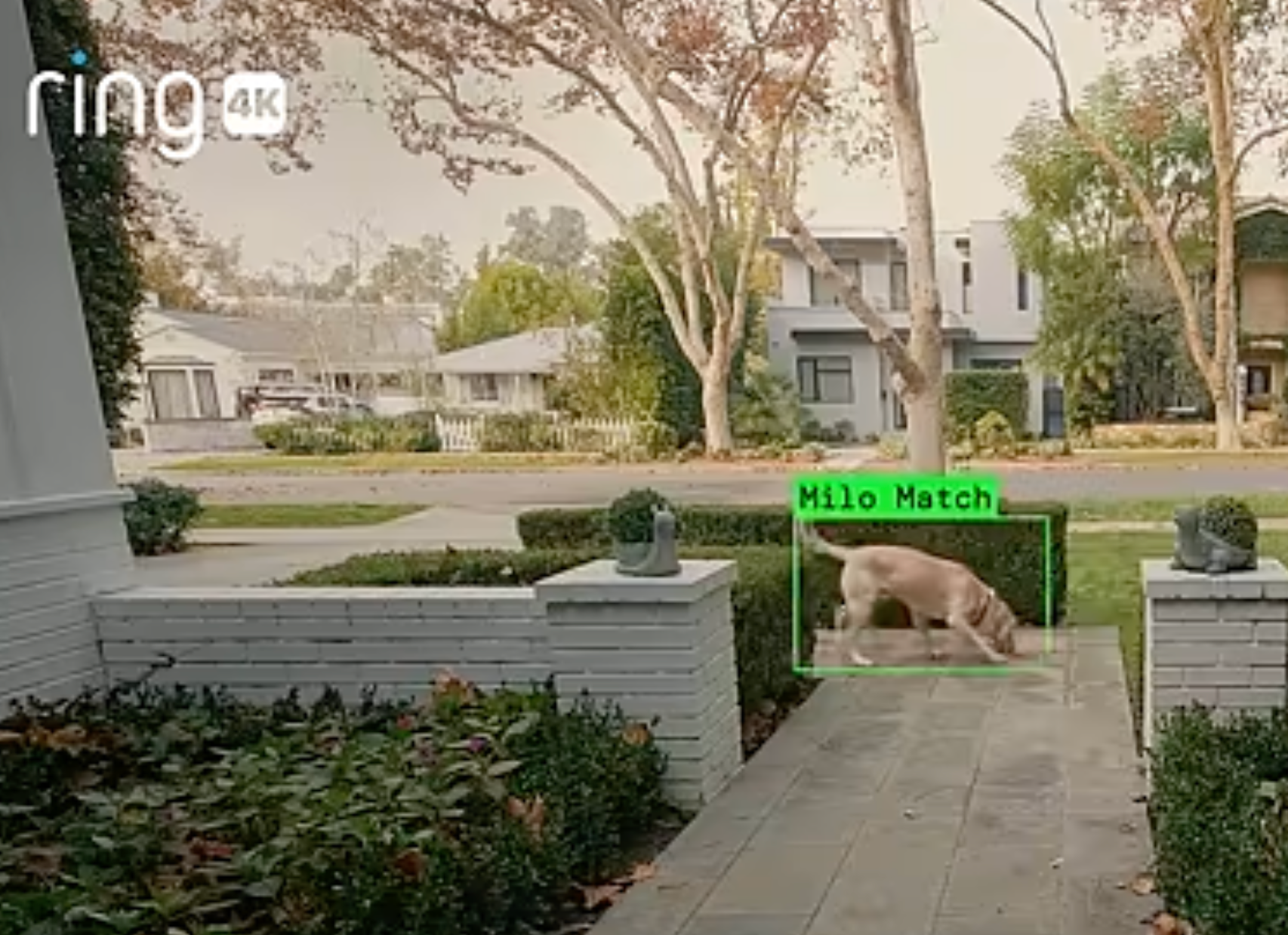 <p>Según un email filtrado, la función “Search Party” de Ring —hoy destinada a localizar mascotas extraviadas— podría ampliarse para usos adicionales de vigilancia</p>