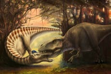 Un diente fósil incrustado revela cómo murió un dinosaurio gigante