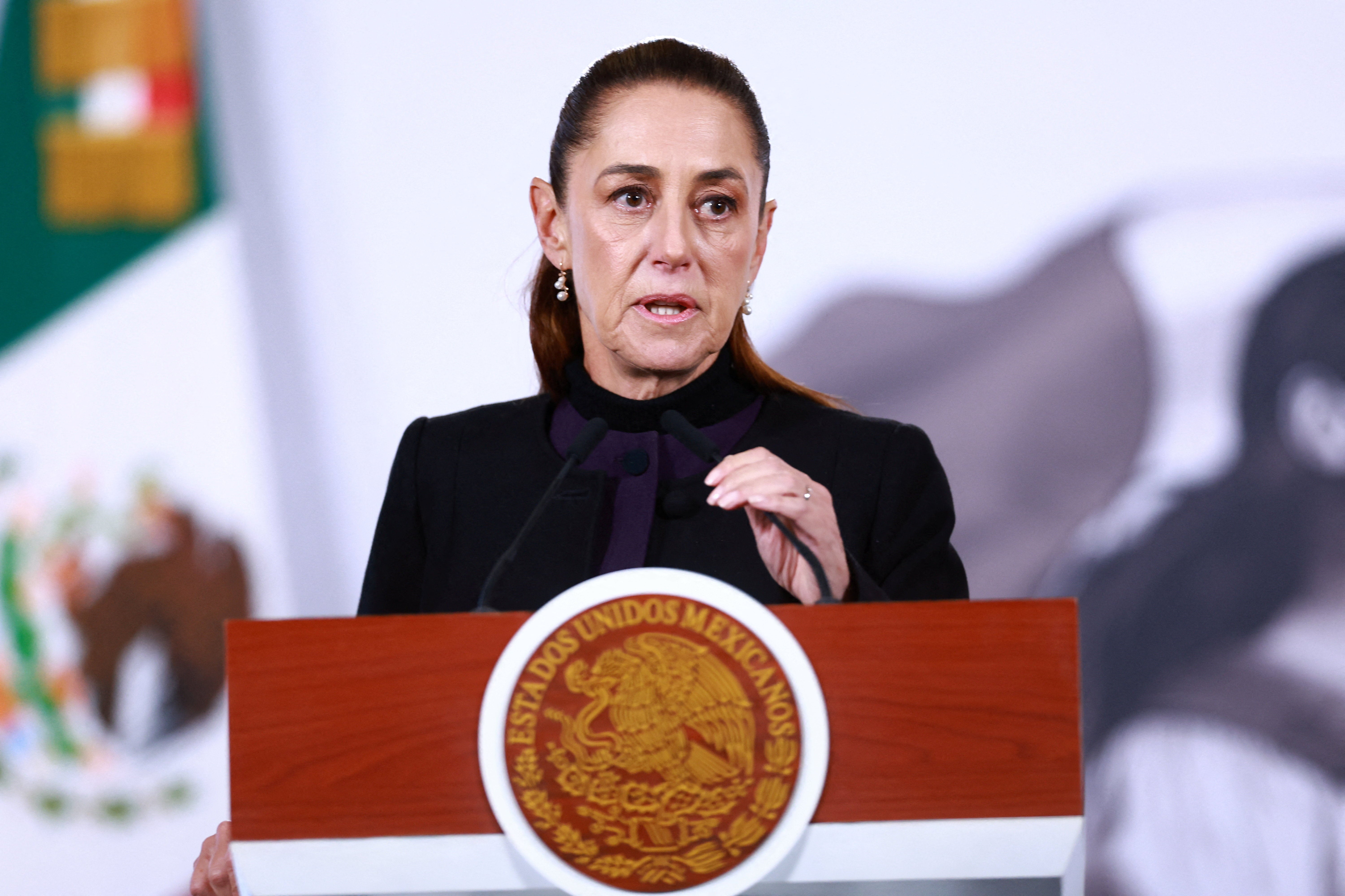 <p>Sheinbaum said on Tuesday she expected security to continue to normalise in Mexico</p>