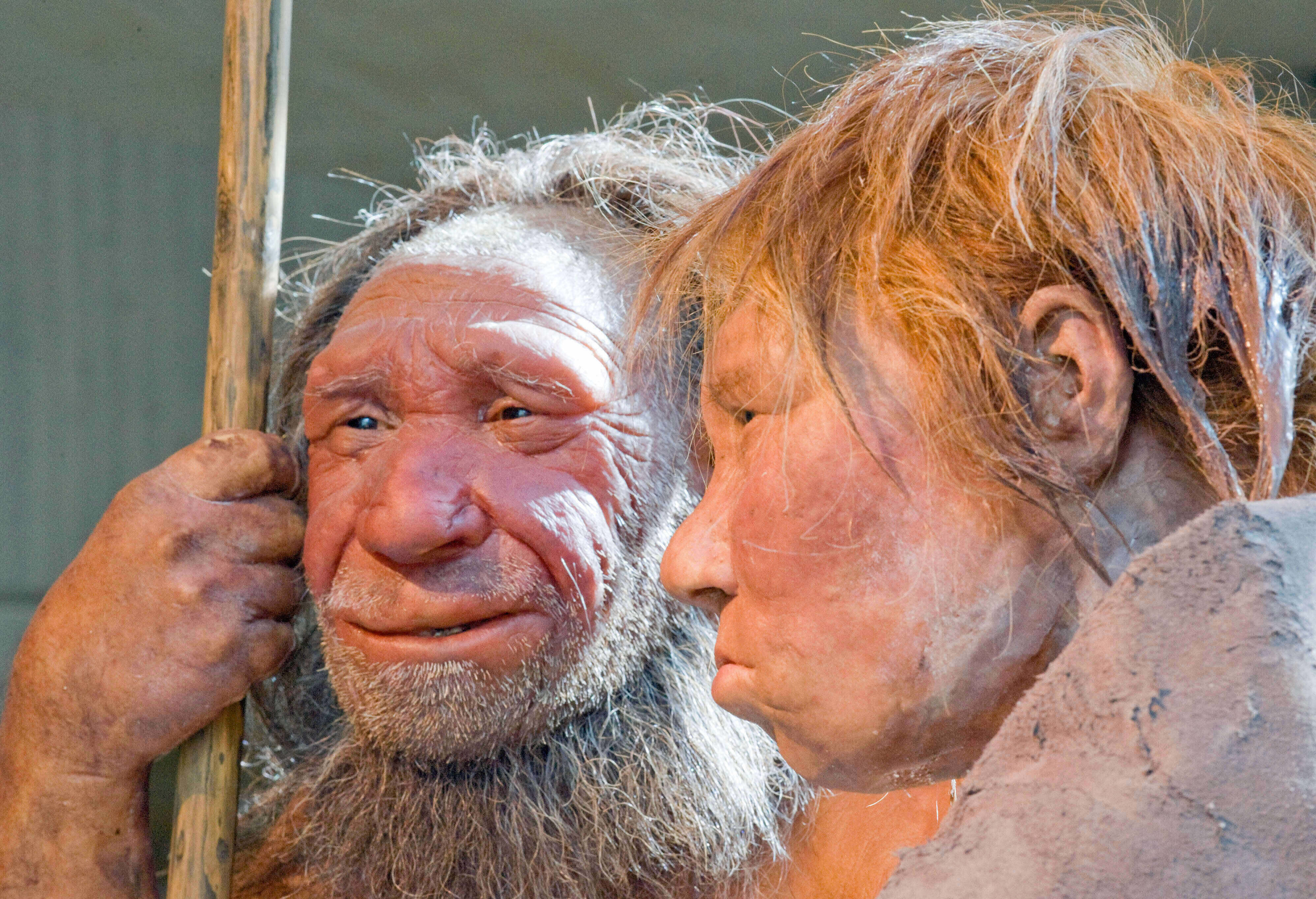 Este reciente estudio sugiere que los emparejamientos se producían con mayor frecuencia entre mujeres humanas y varones neandertales