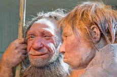 Emparejamiento entre neandertales y mujeres humanas podría haber sido más frecuente, dice estudio