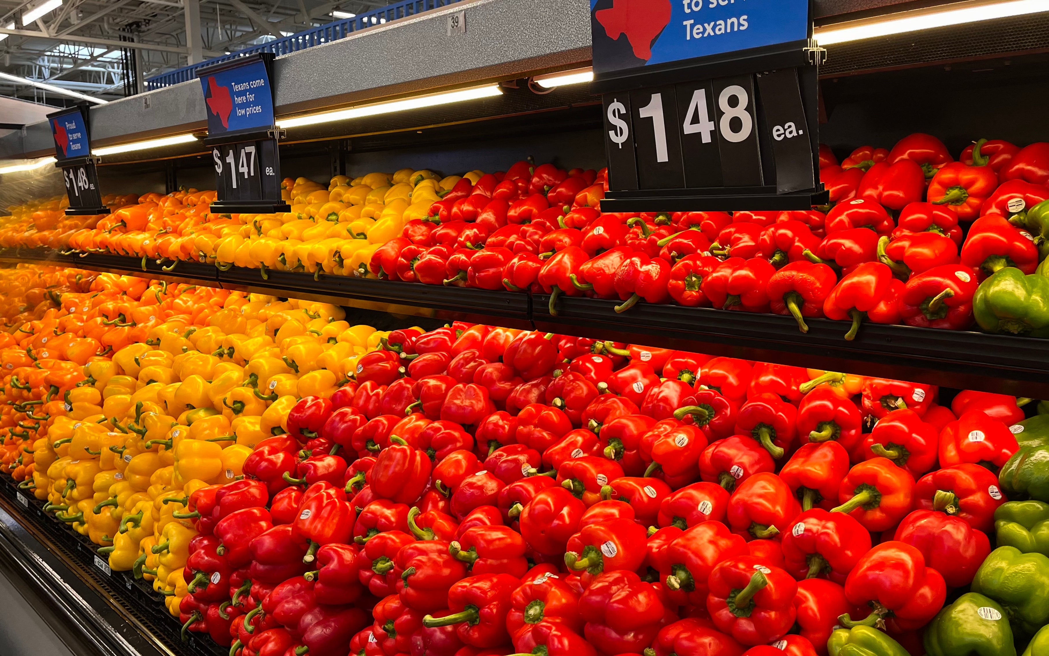 <p>Las tasas de cáncer colorrectal están aumentando y los investigadores vinculan muchos casos con una toxina intestinal llamada colibactina. Los expertos señalan que consumir alimentos ricos en fibra puede ayudar a reducir el riesgo</p>