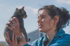 ¿Mejor gato? ¿Accesorio más gracioso? Antes de los Oscar, AP entrega sus propios premios