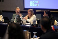 Organizaciones relatan ante CIDH torturas y abusos en la región contra migrantes que son deportados