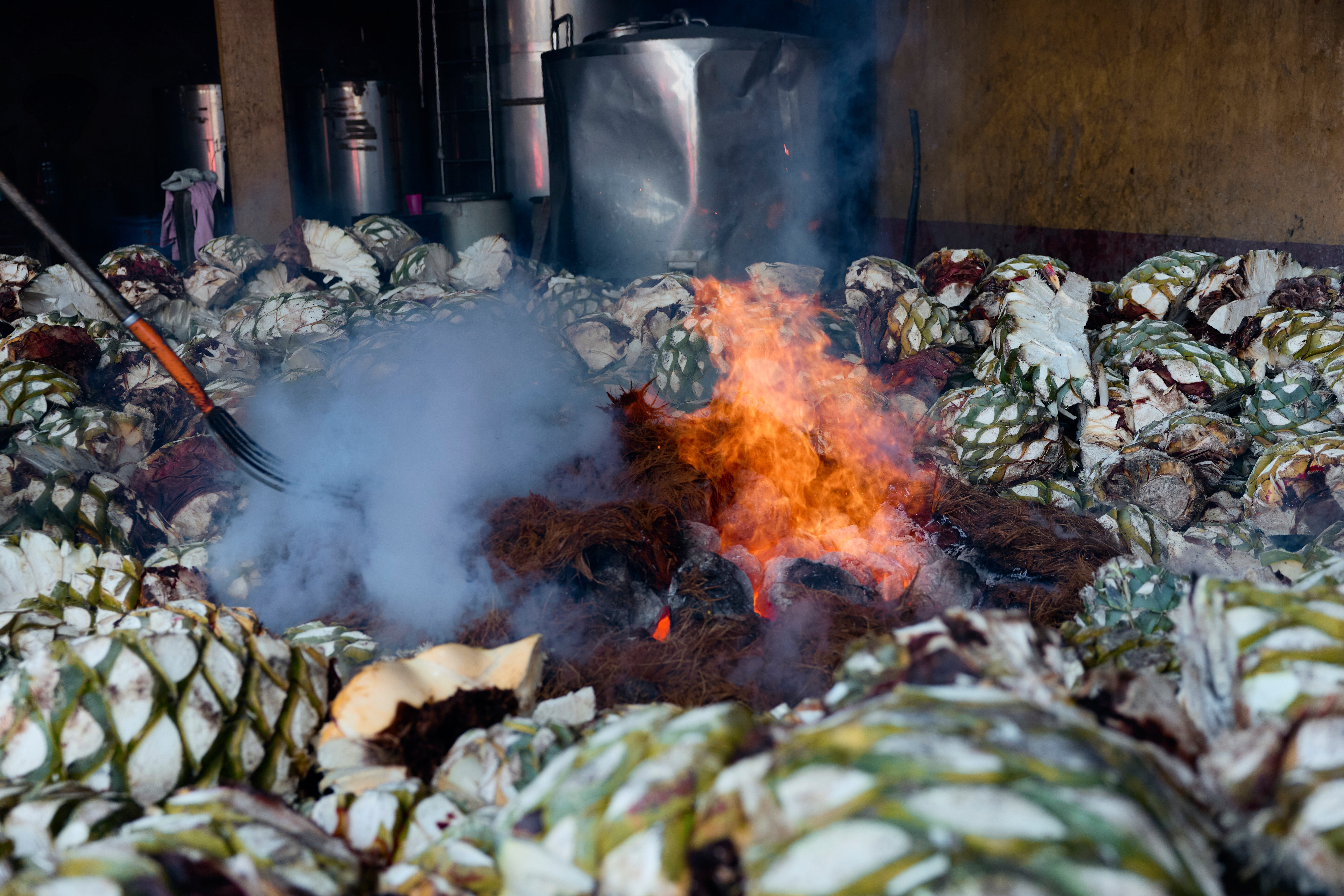 MÉXICO-MEZCAL-ELABORACIÓN
