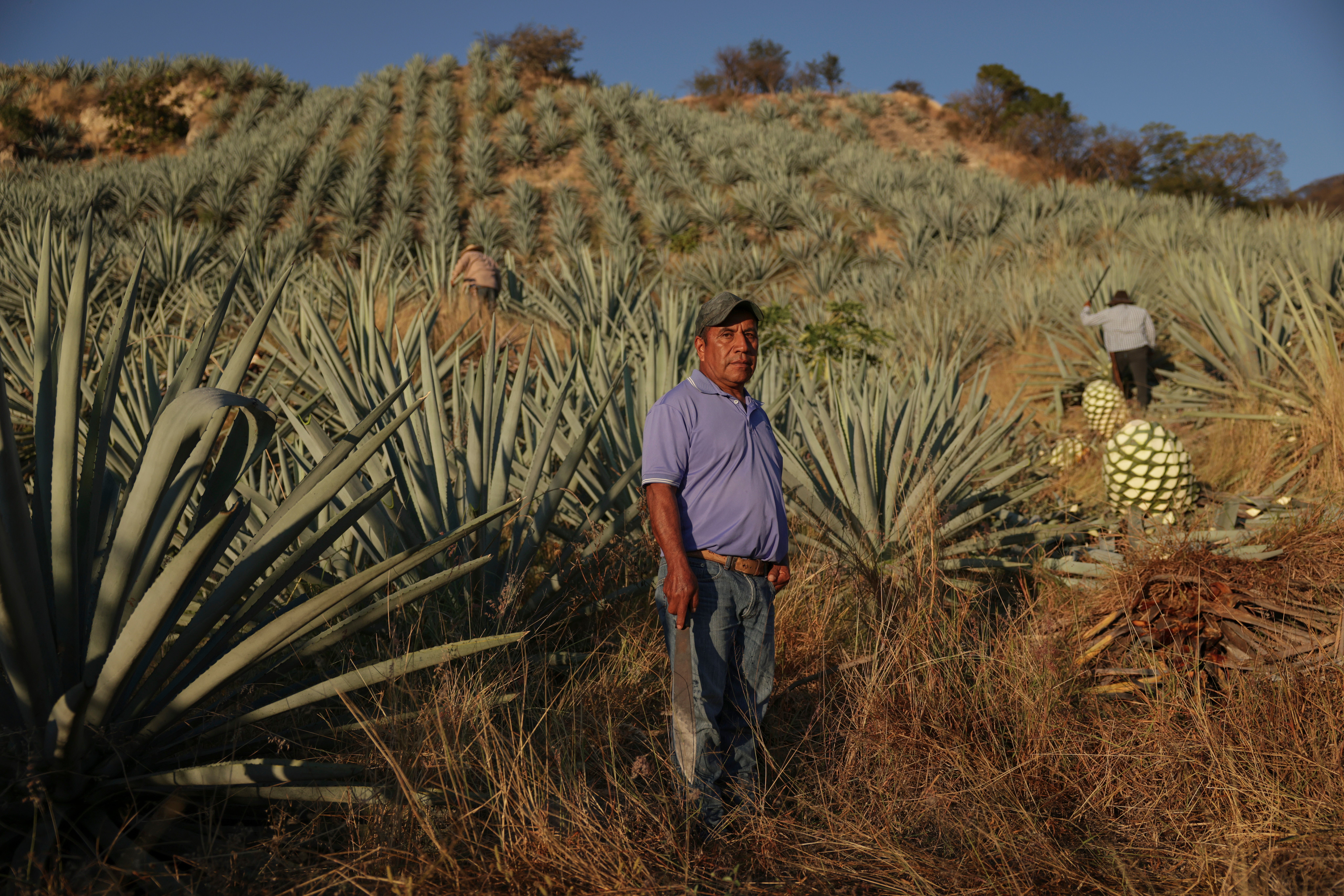 MÉXICO-MEZCAL-PRODUCTORES