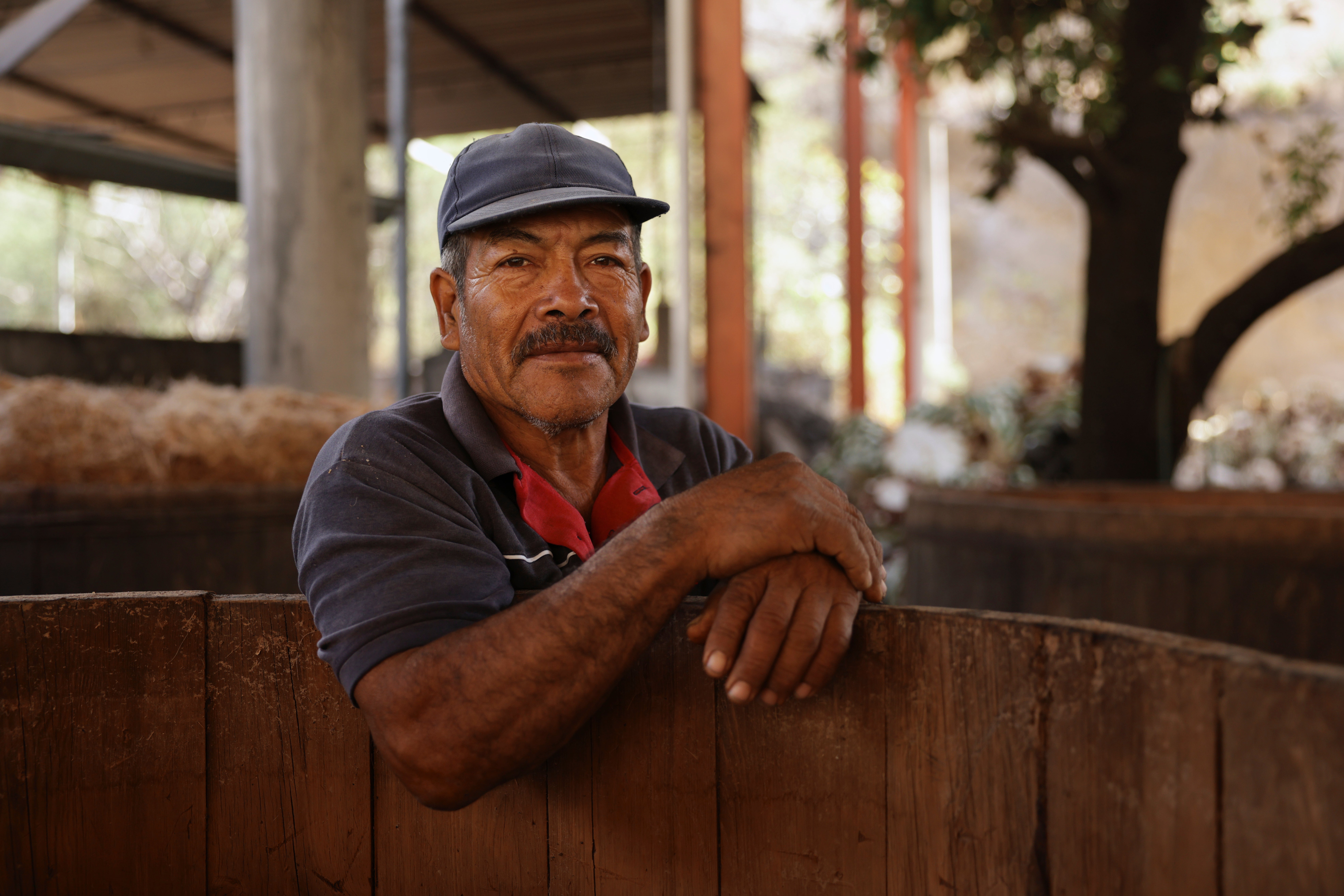 MÉXICO-MEZCAL-PRODUCTORES