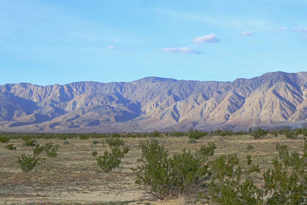 Borrego Springs es una localidad situada en el desierto y rodeada por el parque estatal del desierto de Anza-Borrego (Getty Images)