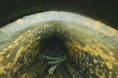 Video de dron dentro de reactor de Fukushima muestra agujero en recipiente de presión y otros daños