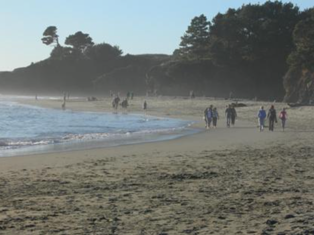 <p>Un hombre de 39 años fue mordido por un tiburón mientras surfeaba cerca de la playa de Big River, en el condado de Mendocino, California, EE. UU., el miércoles. Sufrió heridas en ambas piernas</p>
