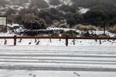 Caos en Tenerife: declaran emergencia por tormenta con nieve y vientos extremos