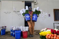 La industria floral de Kenia pierde millones de dólares a la semana por la guerra con Irán