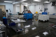 Industria del cangrejo de río de Luisiana sufre por escasez de trabajadores extranjeros