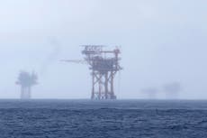 EEUU busca exención de la ley de especies en peligro para petróleo y gas en el Golfo