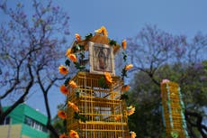 Fotos de vendedores de aves de México en su peregrinación anual a la Basílica de Guadalupe