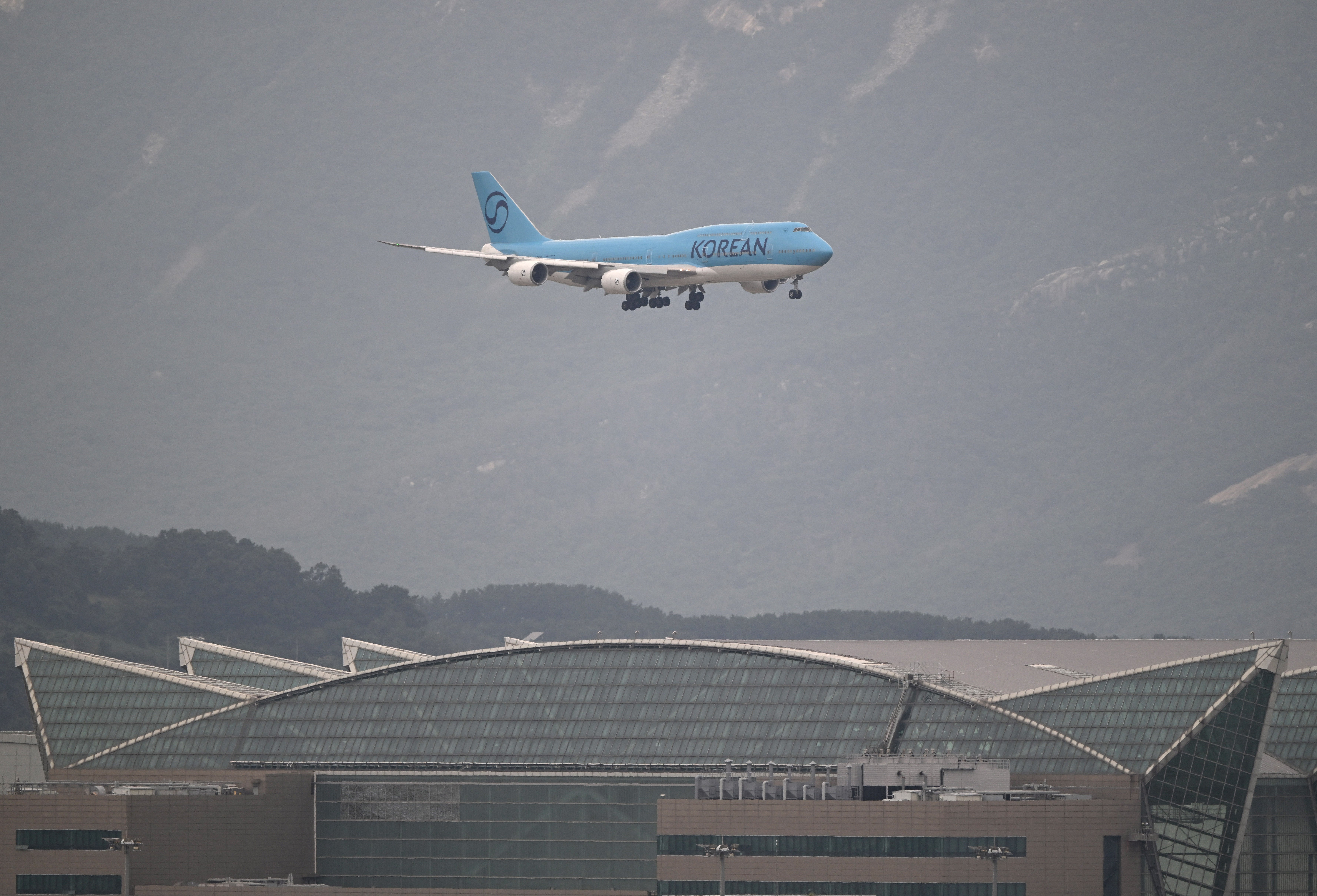 Brown viajaba de Washington D. C. a Seúl con tres amigas en un vuelo de Korean Air cuando colapsó tras 12 horas de viaje
